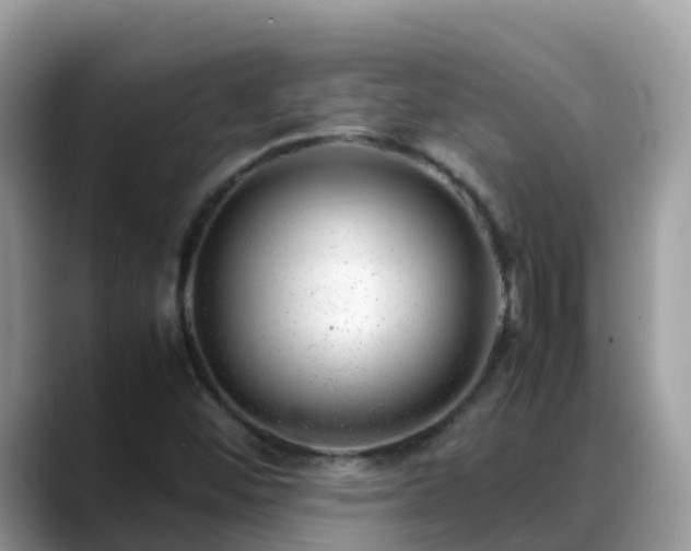 X0000088701452200706071530