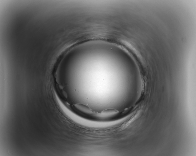 X0000088701453200706071530