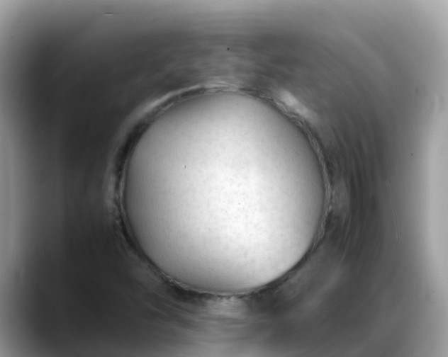 X0000088701454200706071530