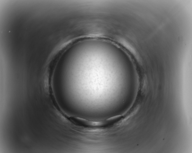 X0000088701456200706071530