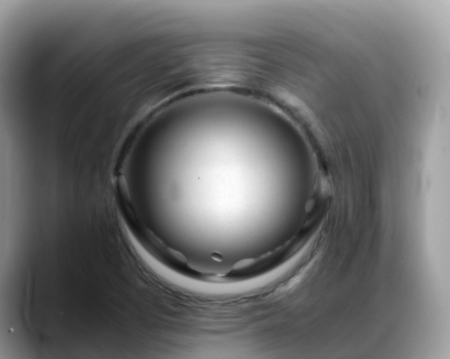 X0000088701457200706071530