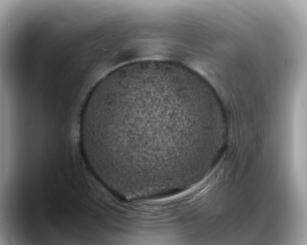 X0000088701459200706071530