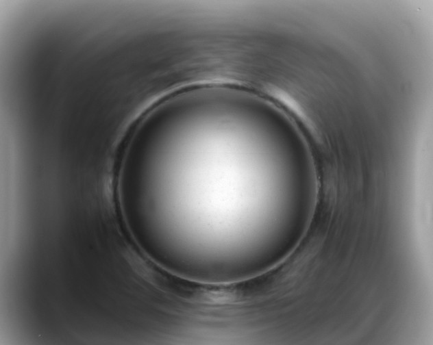 X0000088701460200706071530