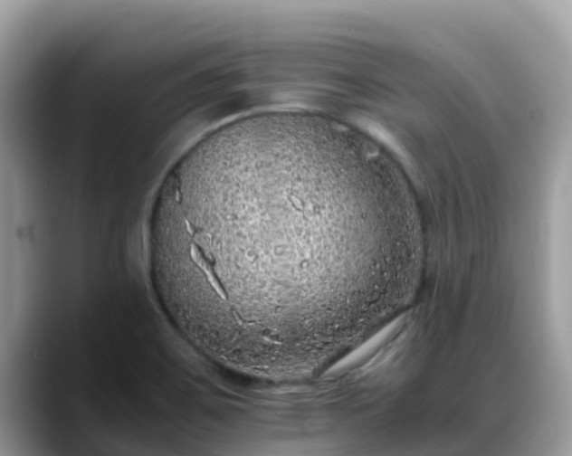 X0000088701467200706071530