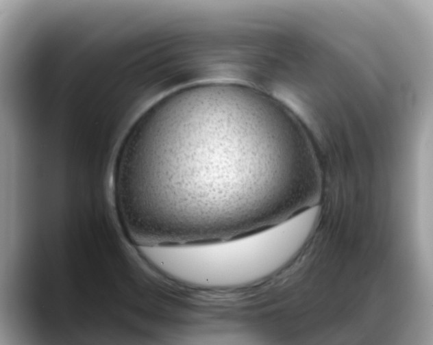 X0000088701468200706071530