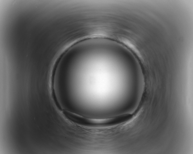 X0000088701469200706071530