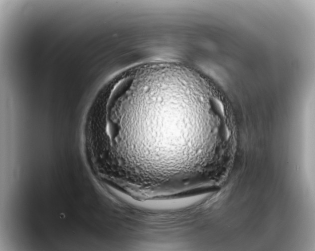 X0000088701471200706071530