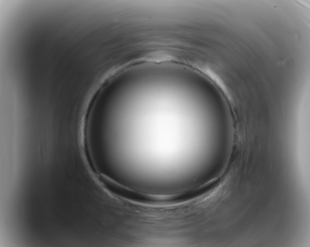 X0000088701477200706071530