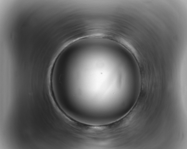 X0000088701483200706071530