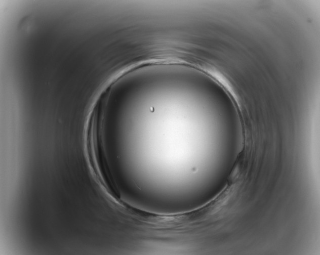 X0000088701485200706071530
