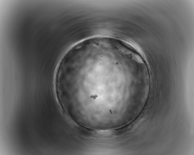 X0000088701488200706071530