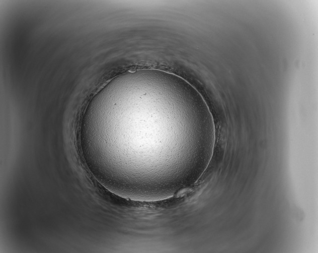 X0000088701489200706071529