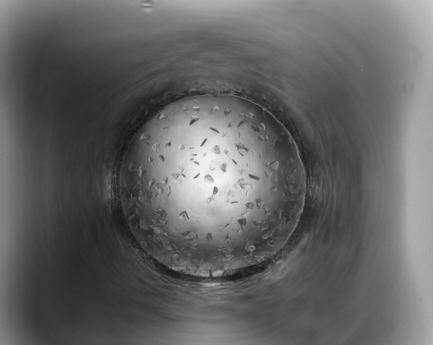 X0000088701490200706071529