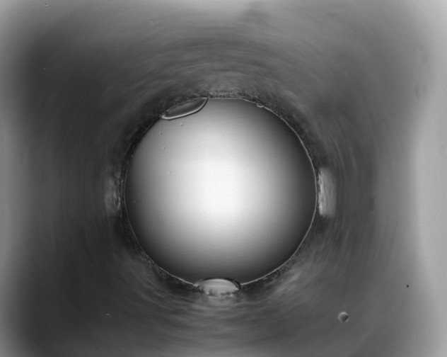 X0000088701491200706071529