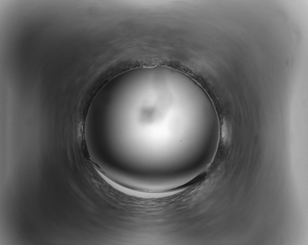 X0000088701492200706071529