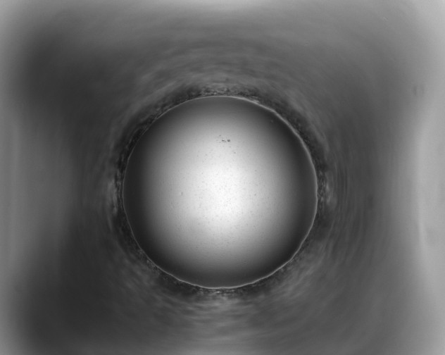 X0000088701493200706071529