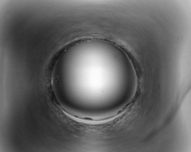 X0000088701496200706071529