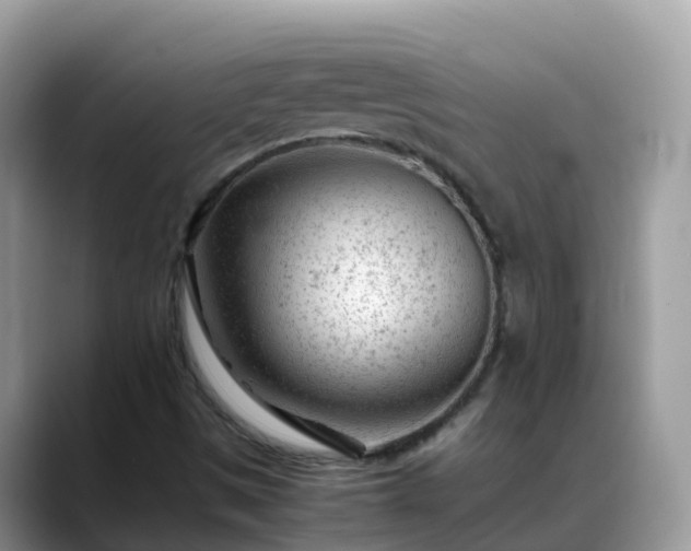 X0000088701497200706071529