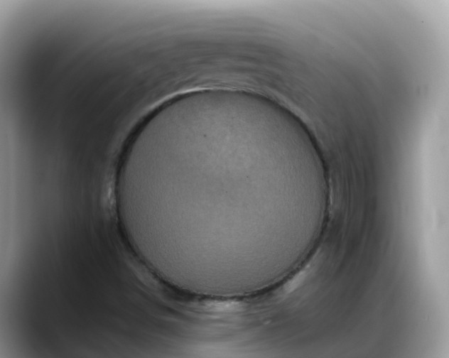 X0000088701498200706071529