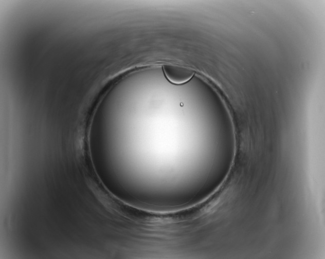 X0000088701499200706071529
