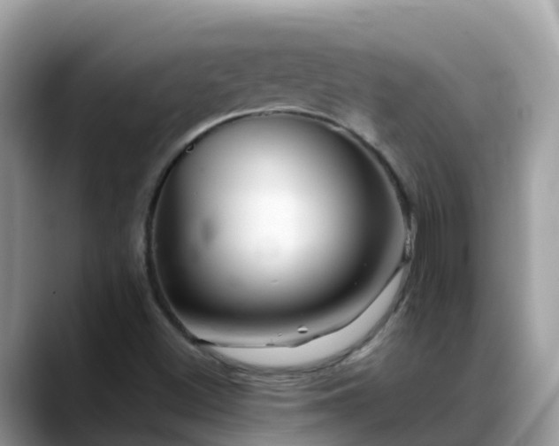 X0000088701500200706071529