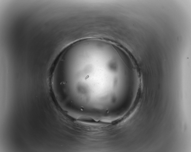 X0000088701501200706071529