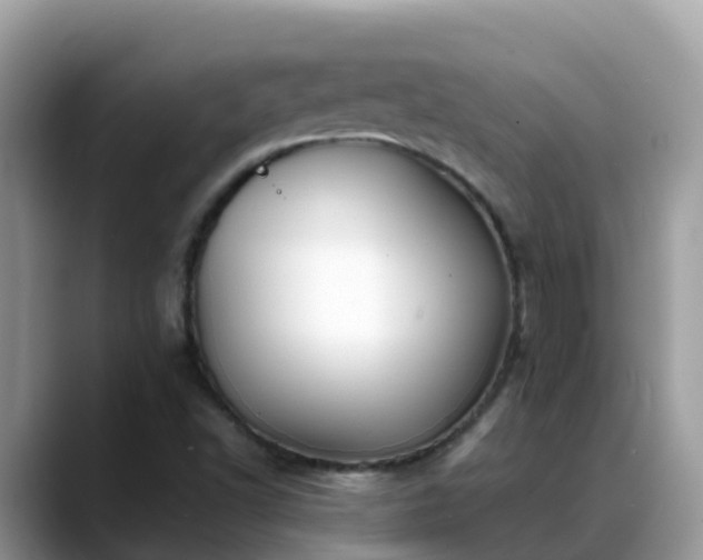 X0000088701502200706071529
