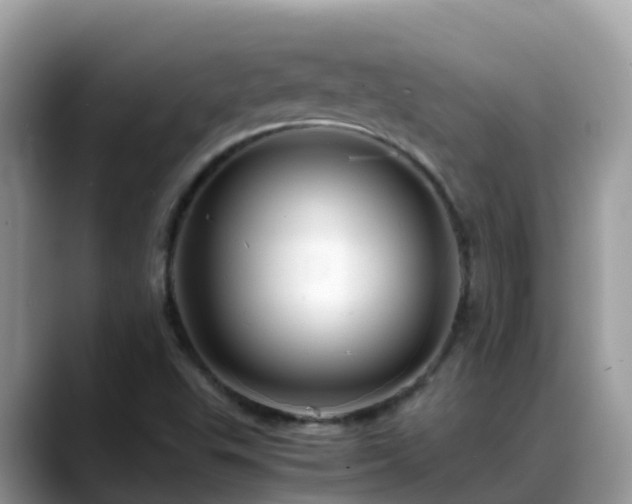 X0000088701503200706071529