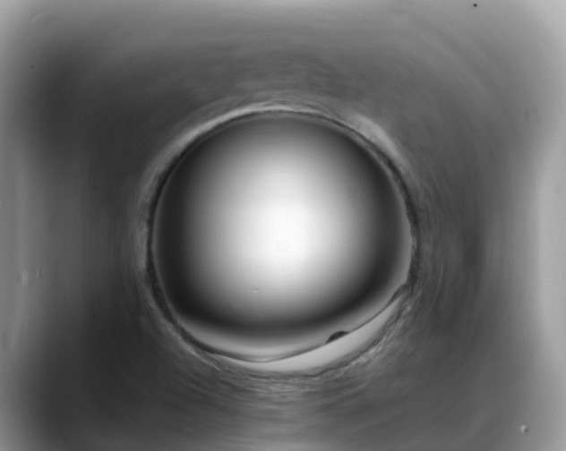 X0000088701504200706071529