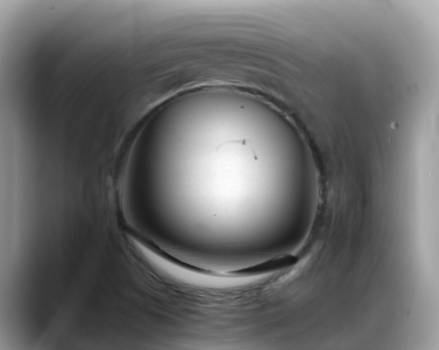 X0000088701505200706071529