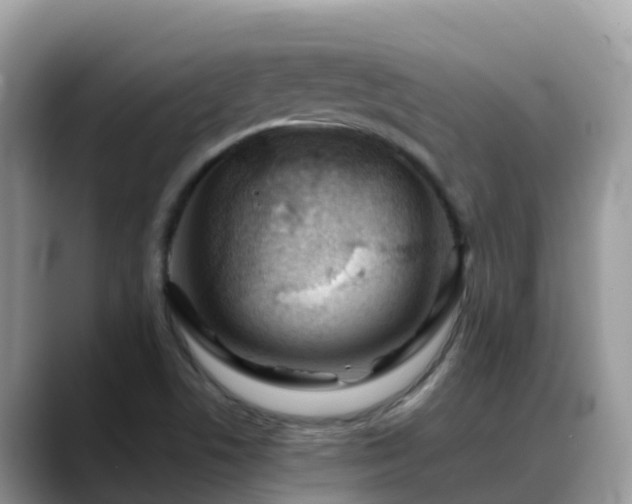 X0000088701506200706071529