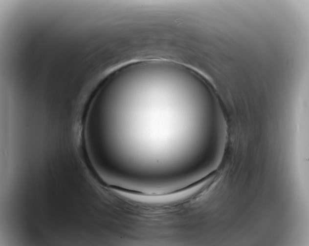 X0000088701507200706071529