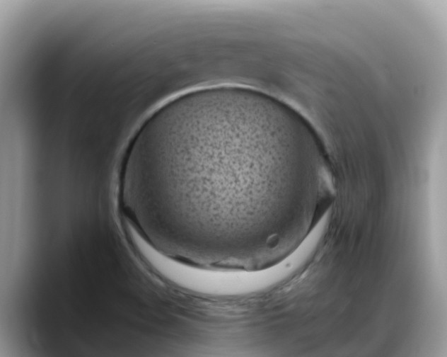 X0000088701508200706071529
