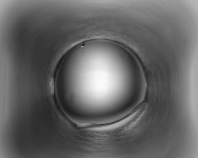 X0000088701509200706071529
