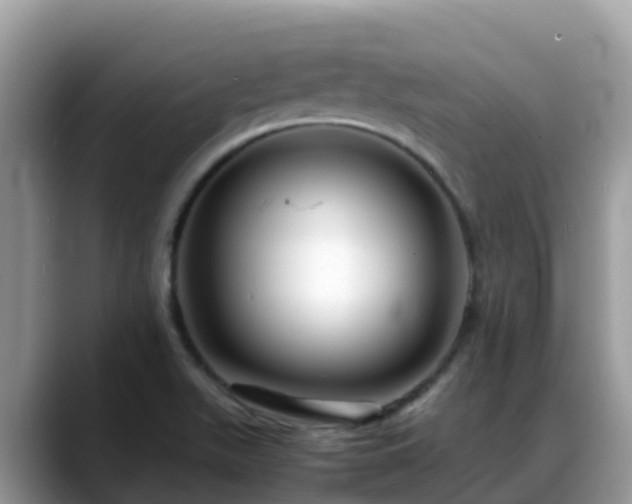 X0000088701511200706071529