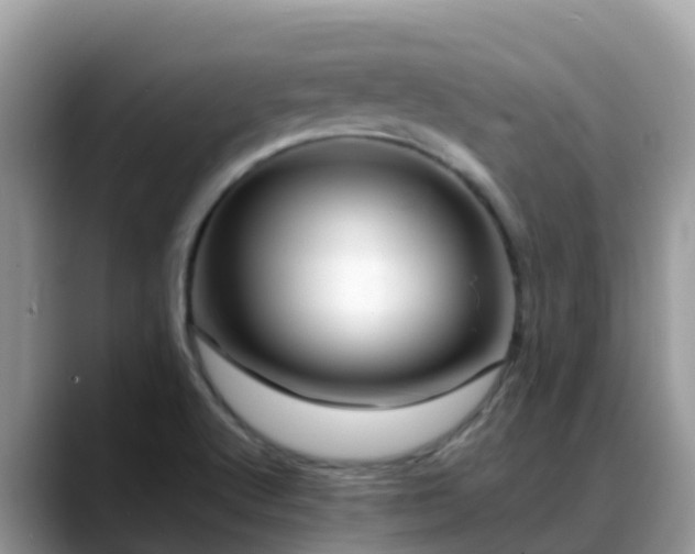 X0000088701512200706071529