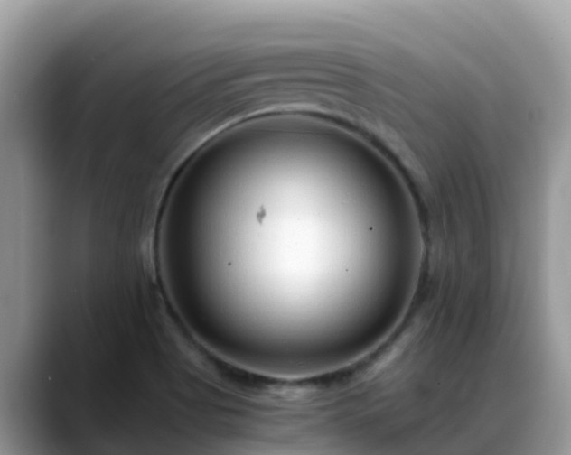 X0000088701513200706071529