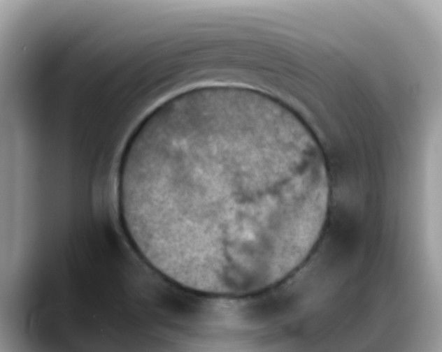 X0000088701514200706071529
