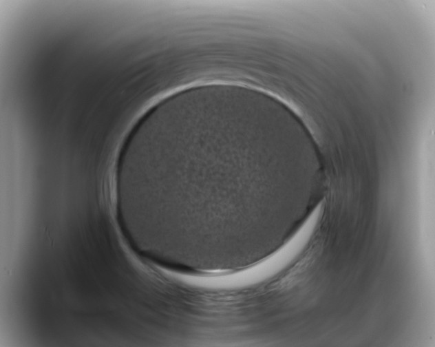 X0000088701515200706071529