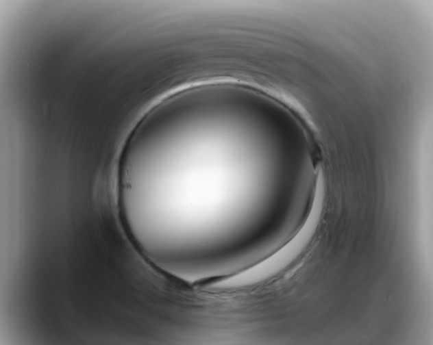 X0000088701516200706071529