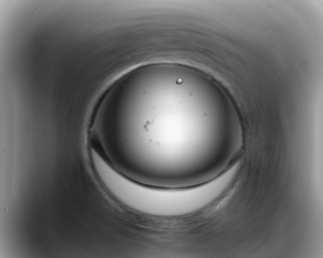 X0000088701517200706071529