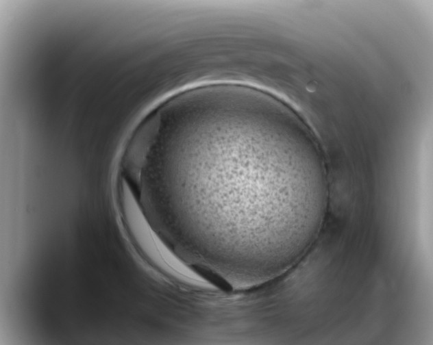 X0000088701519200706071529