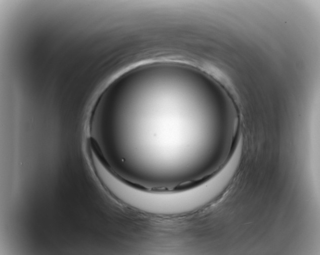 X0000088701520200706071529