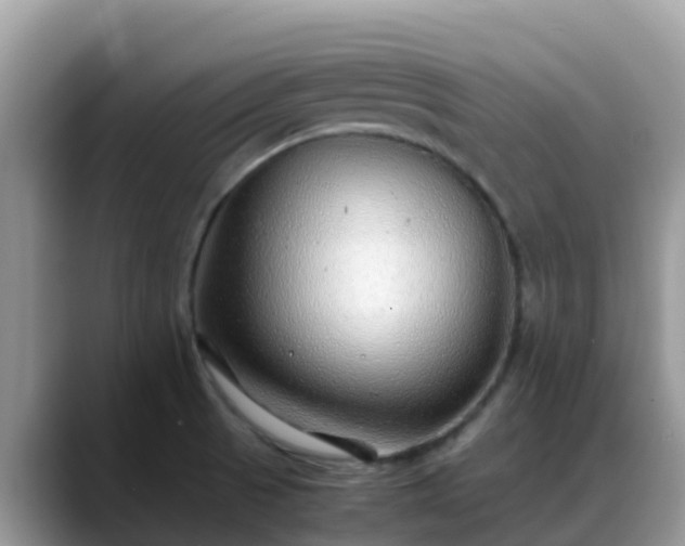 X0000088701521200706071529