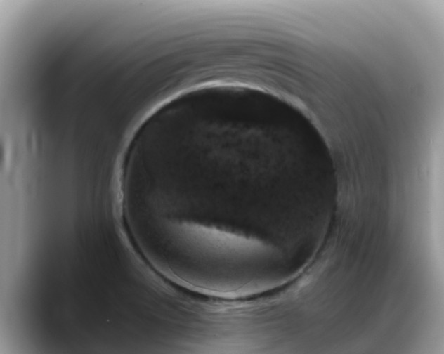X0000088701522200706071529
