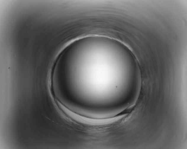 X0000088701523200706071529