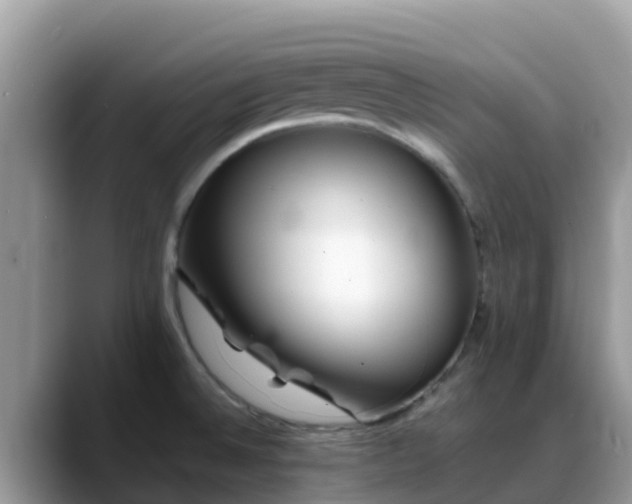 X0000088701524200706071529