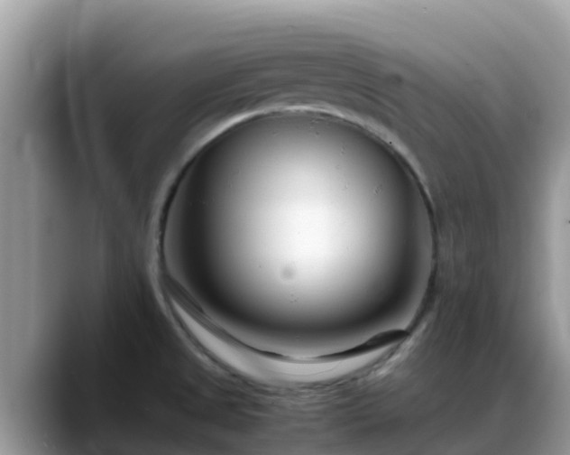 X0000088701525200706071529