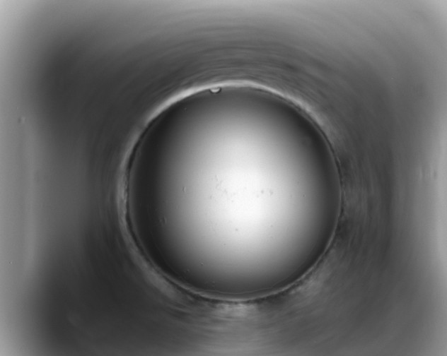 X0000088701526200706071529