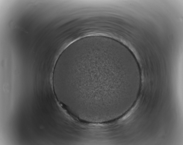 X0000088701529200706071529